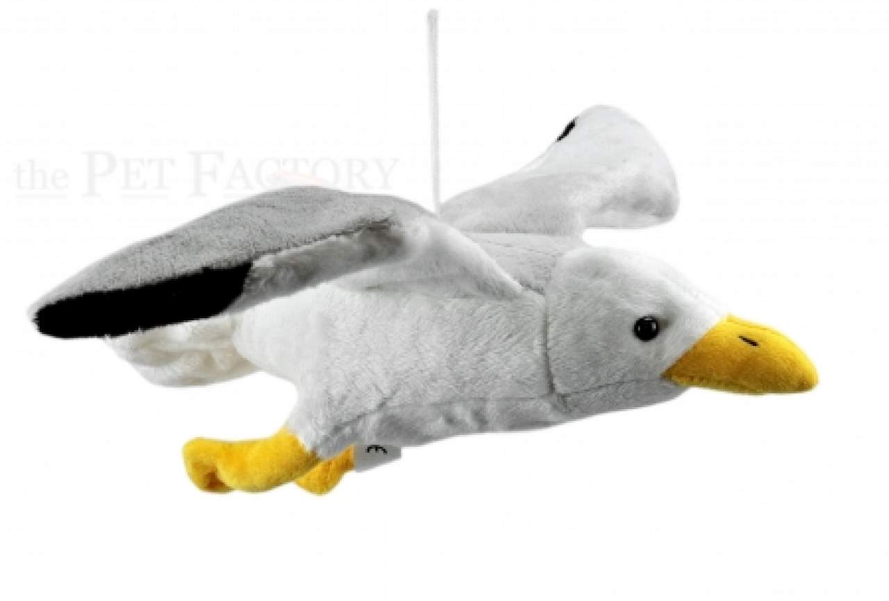 Kuschel Vögel